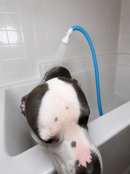 Faucet Hose Shower Head