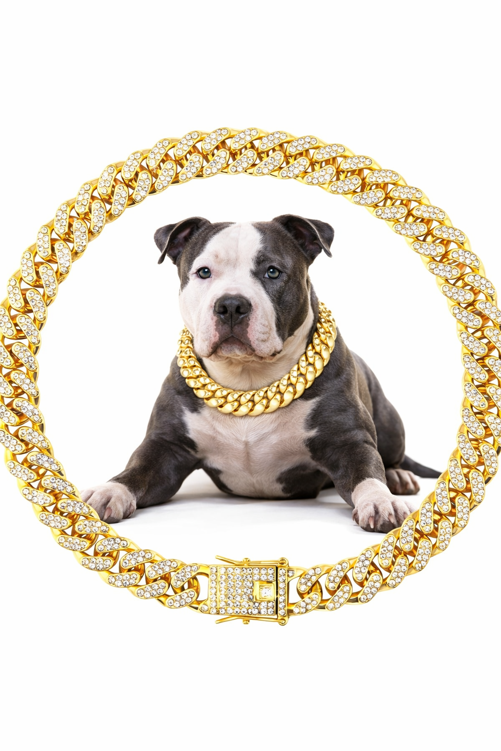 Cuban Link Dog Chain