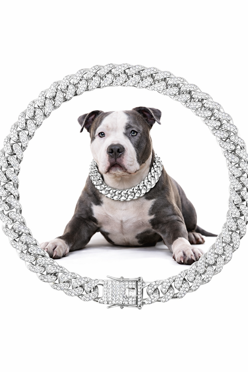Cuban Link Dog Chain