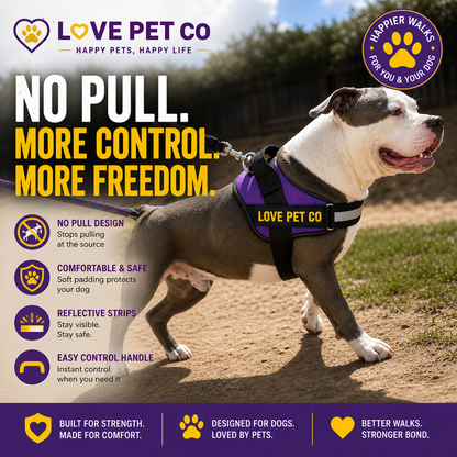 Anti-Pull Dog Harness