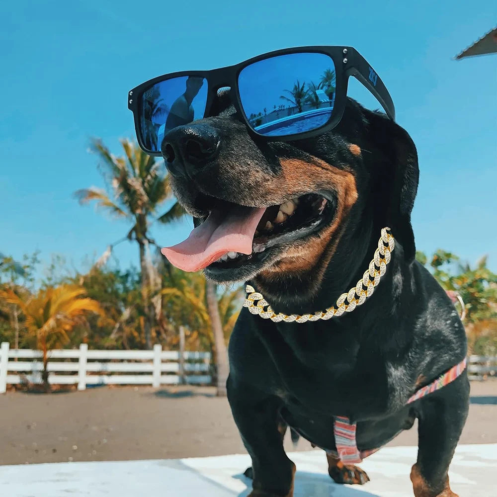 Natural Dog Care Guide