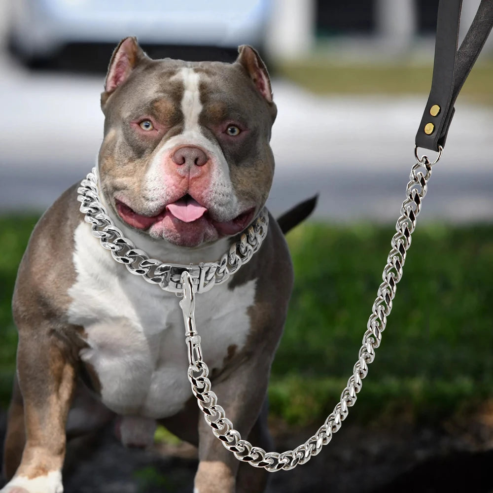 Natural Dog Care Guide